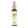 Flores De Bach Flor De Bach 11 Elm 20 Ml 2 Flores De Bach Flor De Bach 11 Elm 20 Ml -Personal Cuidado Productos Tienda Flor de Bach 11 Elm 20 ml