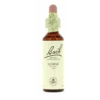 Flores De Bach Flor De Bach 13 Gorse 20 Ml