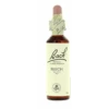Flores De Bach 03 Beech 20 Ml 1 Flores De Bach 03 Beech 20 Ml -Personal Cuidado Productos Tienda Flores de Bach 03 Beech 20 ml
