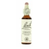 Flores De Bach 05 Cerato 20 Ml -Personal Cuidado Productos Tienda Flores de Bach 05 Cerato 20 ml