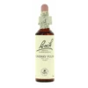 Flores De Bach 06 Cherry Plum 20 Ml -Personal Cuidado Productos Tienda Flores de Bach 06 Cherry Plum 20 ml