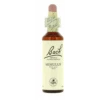 Flores De Bach 20 Mimulus 20 Ml -Personal Cuidado Productos Tienda Flores de Bach 20 Mimulus 20 ml