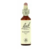 Flores De Bach 21 Mustard 20 Ml -Personal Cuidado Productos Tienda Flores de Bach 21 Mustard 20 ml