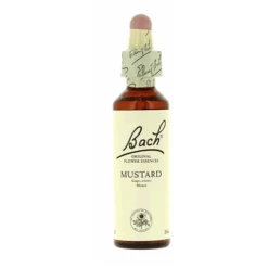 Flores De Bach 21 Mustard 20 Ml