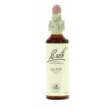 Flores De Bach 23 Olive 20 Ml -Personal Cuidado Productos Tienda Flores de Bach 23 Olive 20 ml