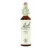 Flores De Bach 24 Pine 20 Ml -Personal Cuidado Productos Tienda Flores de Bach 24 Pine 20ml