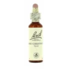 Flores De Bach 25 Red Chestnut 20 Ml -Personal Cuidado Productos Tienda Flores de Bach 25 Red Chestnut 20 ml