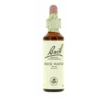 Flores De Bach 27 Rock Water 20 Ml -Personal Cuidado Productos Tienda Flores de Bach 27 Rock Water 20 ml
