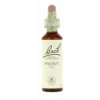 Flores De Bach 33 Walnut Nogal 20 Ml