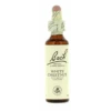Flores De Bach 35 White Chestnut 20 Ml 2 Flores De Bach 35 White Chestnut 20 Ml -Personal Cuidado Productos Tienda Flores de Bach 35 White Chestnut 20 ml