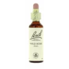 Flores De Bach 37 Wild Rose 20 Ml 2 Flores De Bach 37 Wild Rose 20 Ml -Personal Cuidado Productos Tienda Flores de Bach 37 Wild Rose 20 ml