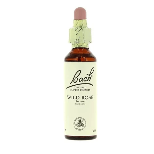 Flores De Bach 37 Wild Rose 20 Ml 3 Flores De Bach 37 Wild Rose 20 Ml