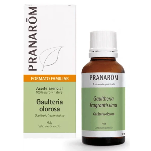 Pranarom Aceite Esencial De Gaulteria Procumbens 30 Ml 3 Pranarom Aceite Esencial De Gaulteria Procumbens 30 Ml