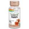 Solaray Reishi 500mg 60 Cápsulas Vegetales 2 Solaray Reishi 500mg 60 Cápsulas Vegetales -Personal Cuidado Productos Tienda Reishi 500mg Solaray 60 Capsulas Vegetales